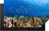 KitchenYeah© Herdabdeckplatte Koralle in leichtem Wasser , Produktbild-Vorschau 1