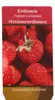 Himbeer-Erdbeere - Set mit 3 Pflanzen - Fragaria - Produktbild-Vorschau 4