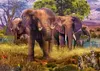 Ravensburger, Afrikanische Tiere, 2x 1000 Teile Puzzle Produktbild-Vorschau 2