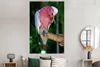 MuchoWow® Poster Roter Kakadu auf einem Holzast 120x180 cm Produktbild-Vorschau 4