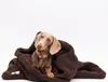 Sac de couchage pour chien Teddy couleur chocolat – Niche Voir les images du produit 1