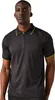 Regatta Professional - Polo à manches courtes pour homme Voir les images du produit 3