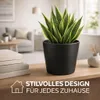 5 Blumentöpfe Schwarz Blumenvase Übertöpfe Pflanztop Set Produktbild-Vorschau 3
