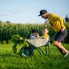 Wiltec Pneu de brouette 3.50-8 – Roue et Pneumatique – Voir les images du produit 8
