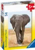 Exotische Tiere. Puzzle 54 Teile Produktbild-Vorschau 6