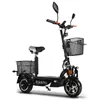 Rolektro, E-Joy 20, Schwarz, faltbarer E-Scooter mit Produktbild-Vorschau 1