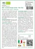 SAFLAX  -- Cavolo senape cinese - Pak Choi - 300 semi - Anteprima dell’immagine prodotto 3