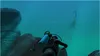 Nintendo Endless Ocean Luminous Produktbild-Vorschau 5