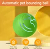 A green interactive pet toy ball is displayed on a stand against a yellow and orange background. Icons and text are present at the bottom. Náhled obrázku produktu