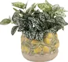 Clayre & Eef bloempot, diameter 19 cm, hoogte 15 cm, beige, Productafbeelding-voorbeeld 2