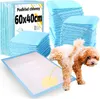 A product shot of disposable pet training pads, with a stack of pads in the background and one pad in the foreground with a dog urinating on it. Produktbild-Vorschau