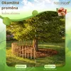 Floranica palisádový plot z lískového ořechu/kastanu, délka Náhled obrázku produktu 5