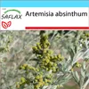 SAFLAX - Zestaw prezentowy - Piołun - 500 Nasiona - Z Podgląd zdjęcia produktu 9