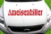 Indigos UG - Aufkleber Heckscheibe & Motorklappe DE2127 - Produktbild-Vorschau 2
