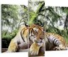 Bild auf Leinwand - Leinwandbild - 3 Teile - Tiger Produktbild-Vorschau 1