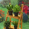 A wooden plant stand with potted plants on it, set against a backdrop of a garden scene. Produktbild-Vorschau