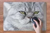 MuchoWow® Schreibtischunterlage Tier - Katze - Grau 60x40 Produktbild-Vorschau 3