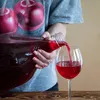 6 x 5L Weinflasche Weinballon aus Kunstoff GÄRBALLON Produktbild-Vorschau 6
