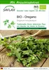 SAFLAX - BIO - Oregano - Origanum heracleoticum - 1500 Produktbild-Vorschau 1