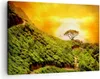 Bild auf Leinwand - Leinwandbild - Berg Baum Pfad Hügel - Produktbild-Vorschau 1