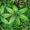 9X Haie artificielle verte Mur végétal Clôture pare-vue Voir les images du produit 7