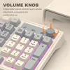 A close-up view of a mechanical keyboard with a focus on its volume knob and some of its keys. The keyboard has a beige and gray color scheme with pink backlighting visible under some keys. Produktbild-Vorschau