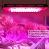 A pink LED grow light illuminates a collection of succulents in a planter. Produktbild-Vorschau