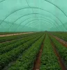 Mata cieniująca 1,5x50m ciemnozielona Podgląd zdjęcia produktu 6