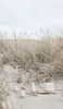 Stelton Theo Milchkännchen - sand Produktbild-Vorschau 7