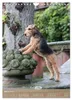 Welsh Terrier - viel Hund in kleiner Verpackung Produktbild-Vorschau 6