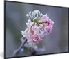 MuchoWow® MuchoWow® Gerahmtes Poster Blumen - Rosa - Produktbild-Vorschau 1