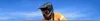 Insta360 X4 Produktbild-Vorschau 19