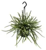 Urban Jungle Elegance Moderný kaktusový závesný kôš s Náhľad obrázku produktu 1