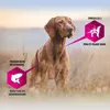 Eukanuba 8710255119595, Dorosły, 2,3 kg Podgląd zdjęcia produktu 5