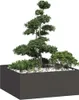 Maison Exclusive - Bac à plantes noir 100x100x40 cm en Voir les images du produit 1