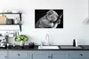 MuchoWow® Poster Schlafender Koala auf schwarzem Produktbild-Vorschau 3