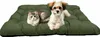 A cat and a dog are lying on a green pet bed. Anteprima dell’immagine prodotto