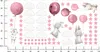 Set di adesivi murali Muralo per camerette dei bambini Anteprima dell’immagine prodotto 6