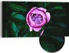 DEQORI Hybrid Leinwand Bild 60x30 cm 'Rosa Blütenzauber' Produktbild-Vorschau 1