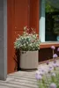 A planter with a plant sits on a wooden deck next to a rusty metal wall and a window. Produktbild-Vorschau