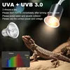4 Stück Schildkröte Wärmelampe,Sonnenbad Reptil Lampe,50W Produktbild-Vorschau 5