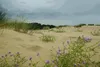 Vlies Fototapete ERSTAUNLICHE DÜNEN 375 x 250 cm (inkl. Produktbild-Vorschau 2