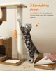 FEANDREA, griffoir pour chats, 86 cm, style vintage, en Voir les images du produit 8