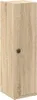 A tall, narrow cabinet with a single door and a dark knob, shown against a white background. Anteprima dell’immagine prodotto