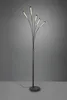 Lampa stojąca łukowa LED REED czarny RL R41031532 Podgląd zdjęcia produktu 5