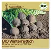 Samenliebe  Rettich Samen | Runder schwarzer Winter - Produktbild-Vorschau 1