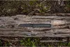Gerber Coltello da pegno, grigio GERBER 1067370 Anteprima dell’immagine prodotto 3