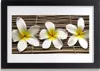 Bild 30x20 MDF-Rahmen Wandkunst Blumen Pflanzen Natur Produktbild-Vorschau 1