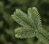 A close-up of a green fir tree branch with needles. Produktbild-Vorschau