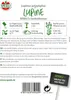 Lupine - Staudenlupine ''SPERLI''s Zauberkerzen'' Produktbild-Vorschau 2